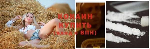 прущие крисы Шарыпово