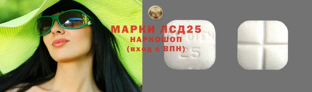 прущие крисы Шарыпово