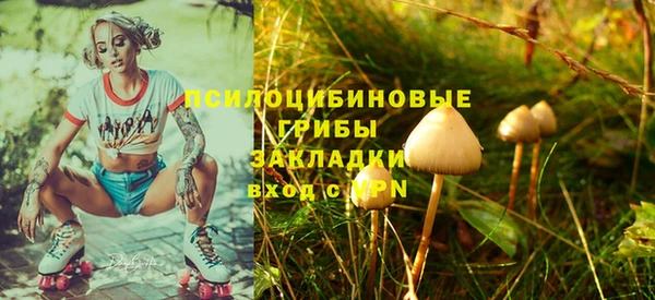 apvp Каменногорск