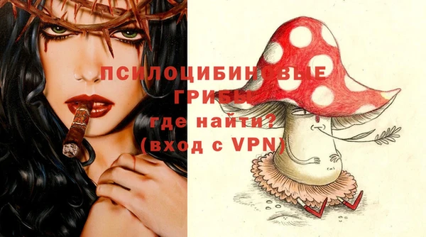 прущие крисы Шарыпово