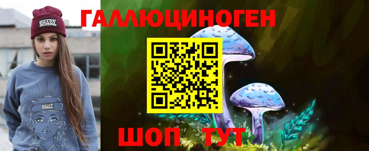 Оренбург  Галлюциногенные грибы MAGIC MUSHROOMS  купить  сайты  Вход с VPN 